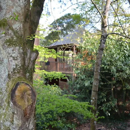 Manoir Du Parc (Adults Only)-3